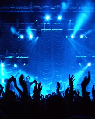 Blues Traveler & Gin Blossoms